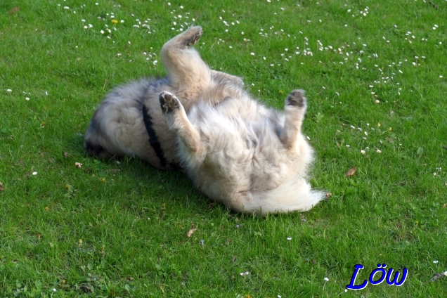 19.4.2025 - Genu&szlig;